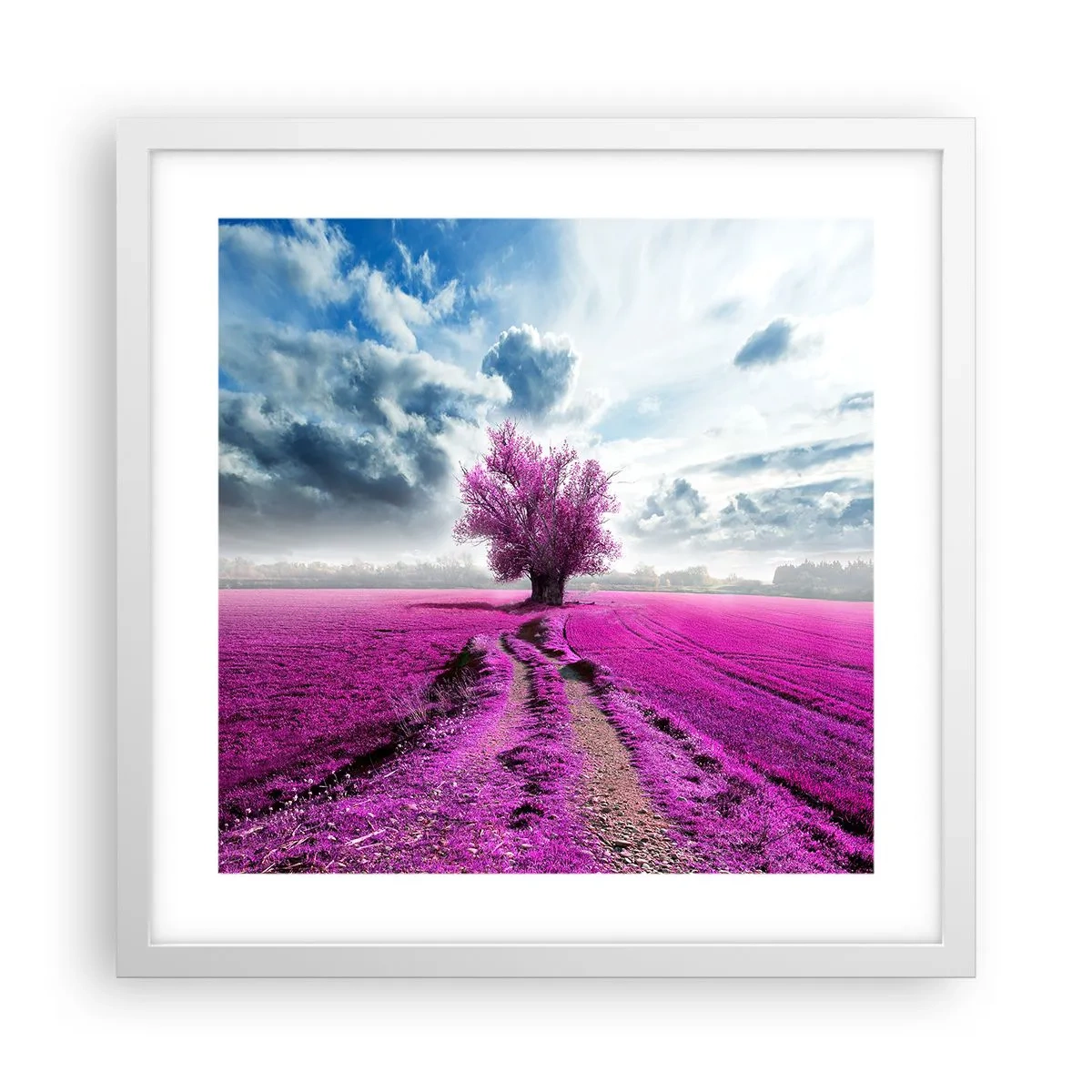 Affiche dans un cadre blanc - Poster - Lande - nature sauvage - 40x40 cm