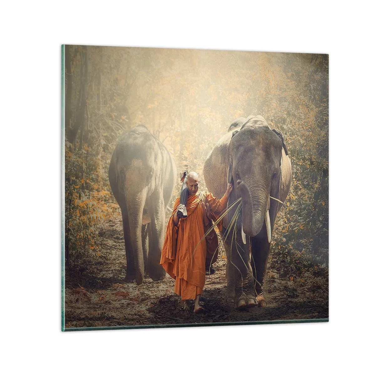 Impression sur verre - Image sur verre - Compréhension totale - 60x60 cm