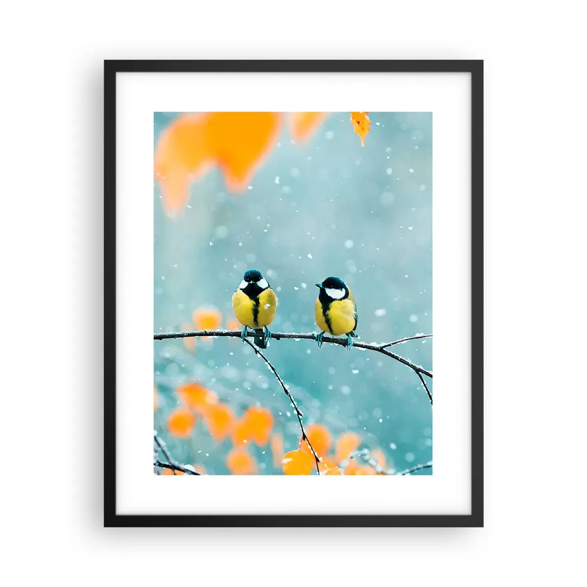 Affiche dans un cadre noir - Poster - Potins d'oiseaux - 40x50 cm