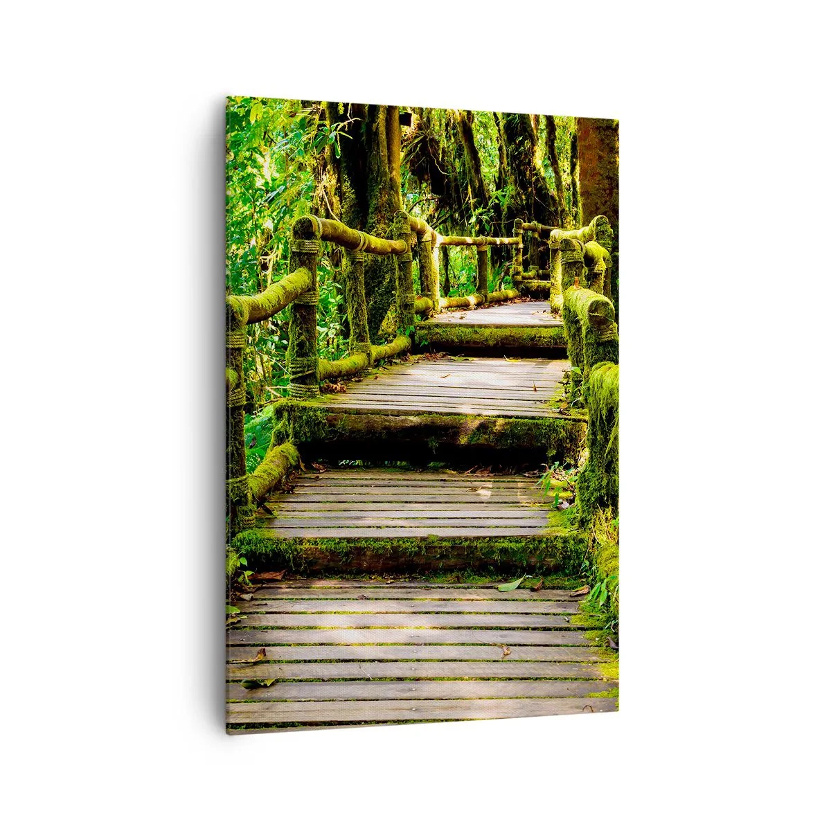 Impression sur toile - Image sur toile - Un pont en bois recouvert de mousse dans une forêt tropicale - 70x100cm - Un couloir de verdure - Décoration murale moderne pour le salon et la chambre ARTTOR