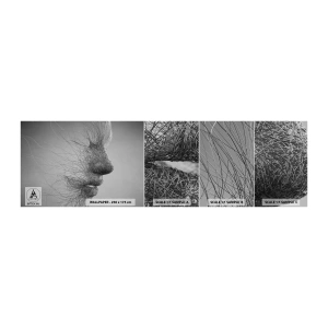 Échantillon de Papier Peint Autocollant Deluxe Sticker - L'esprit du vent - Abstraction, Visage de femme, Graphique - 100x30 cm