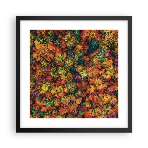 Affiche dans un cadre noir - Poster - Bouquet d'arbres automnal - 40x40 cm