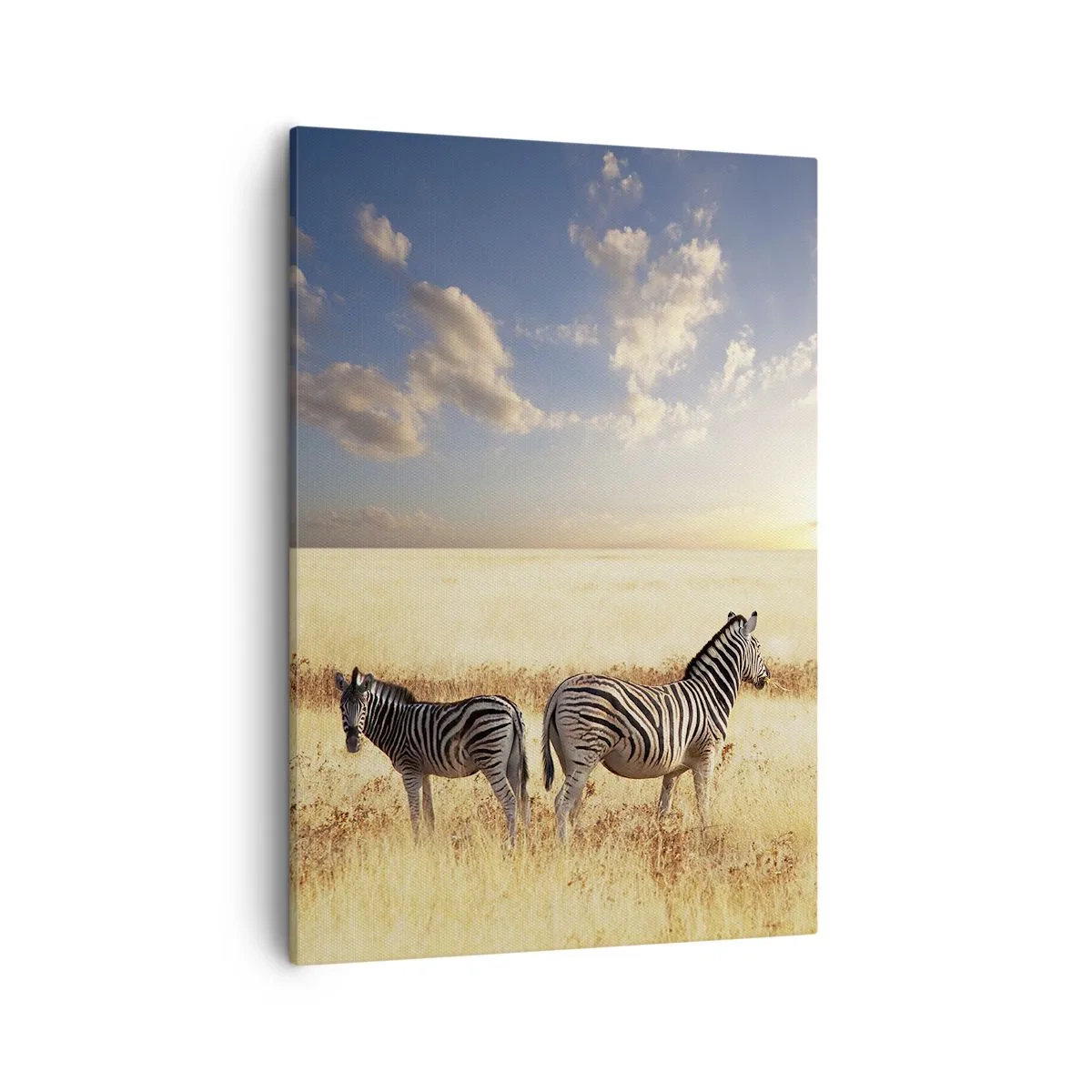 Impression sur toile - Image sur toile - Deux zèbres dans la savane sous les rayons du soleil couchant - 50x70cm - Va-t'en, n'ai pas de paix - Décoration murale moderne pour le salon et la chambre ARTTOR