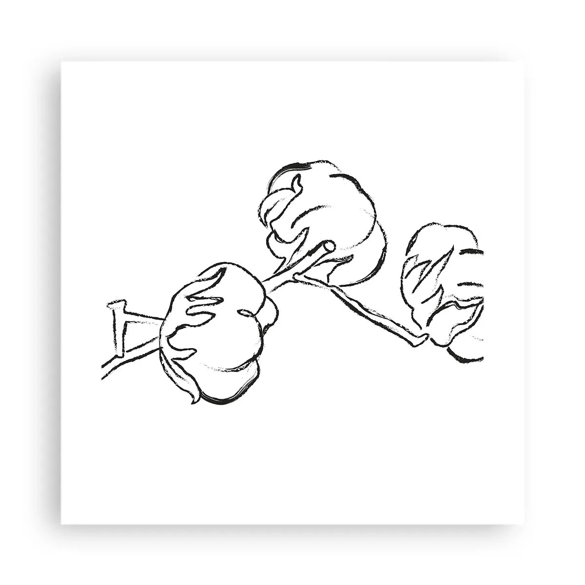 Affiche - Poster - Duvet de coton - 40x40 cm