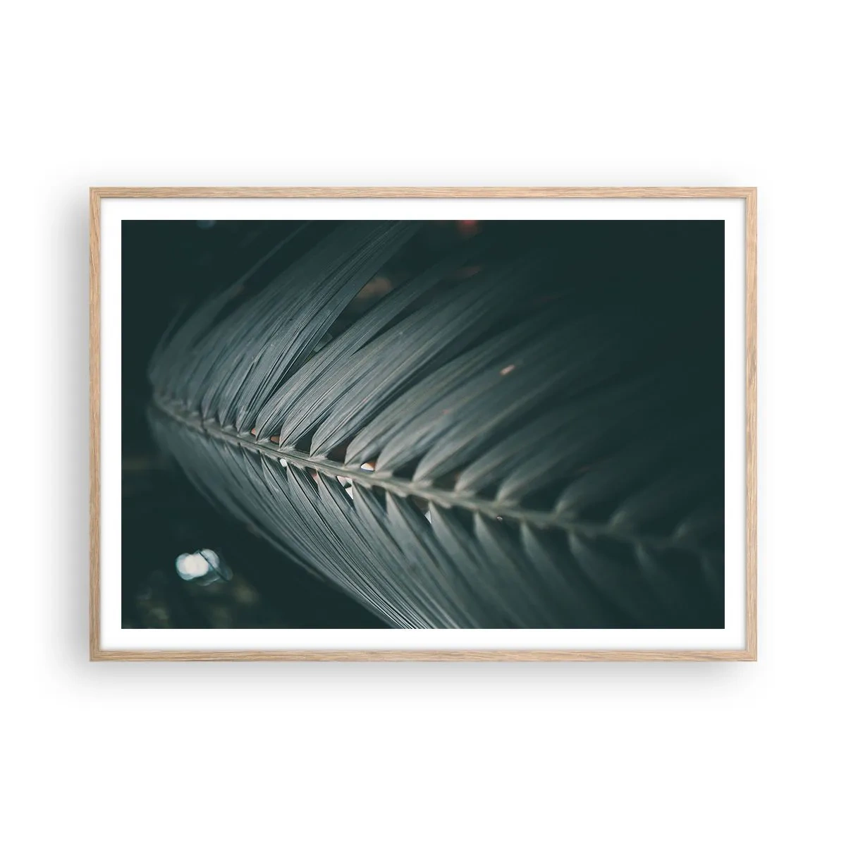 Affiche dans un chêne clair - Poster - Précision de la nature - 100x70 cm