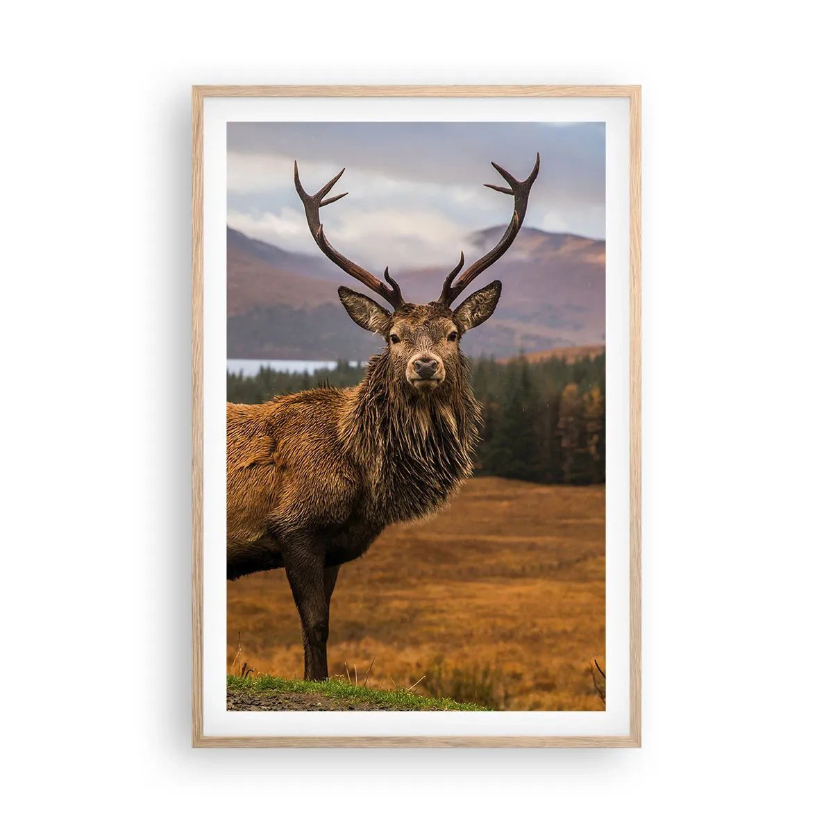 Affiche dans un chêne clair - Poster - Majesté de la nature - 61x91 cm