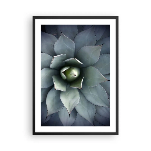 Affiche dans un cadre noir - Poster - Gros plan des feuilles symétriques d'une succulente dans des tons de vert. - 50x70cm - Wabi et observe - Décoration murale moderne pour le salon et la chambre ARTTOR
