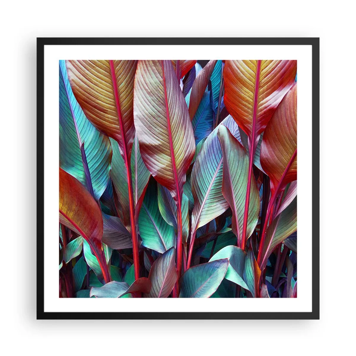 Affiche dans un cadre noir - Poster - Un fourré coloré - 60x60 cm