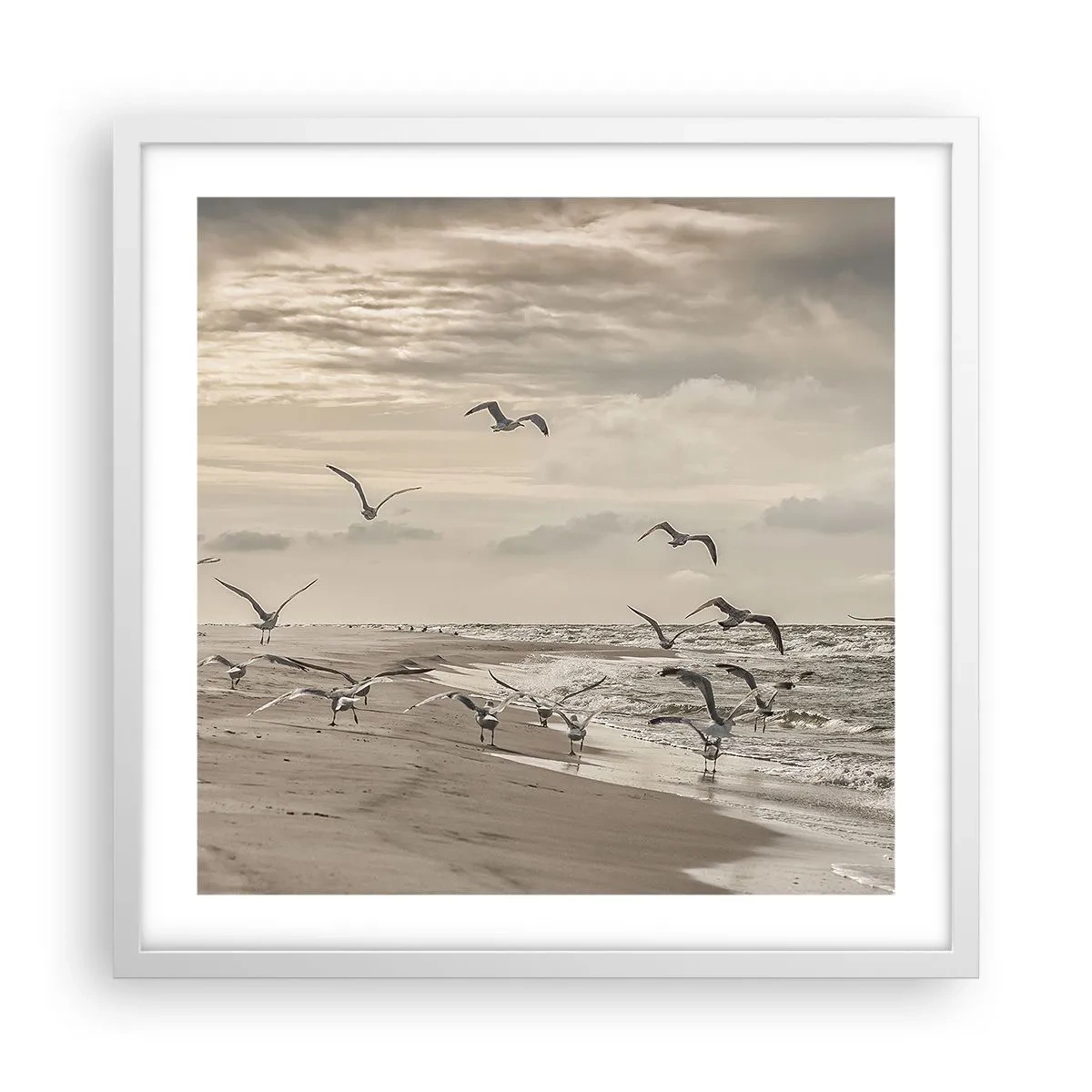 Affiche dans un cadre blanc - Poster - Le bruit de la mer, le chant des oiseaux - 50x50 cm