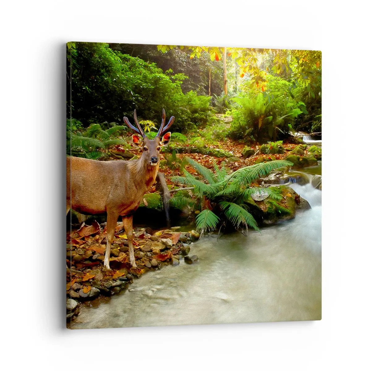 Impression sur toile - Image sur toile - Bienvenue dans mon monde - 40x40 cm