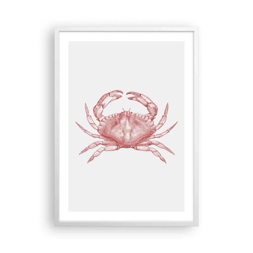 Affiche dans un cadre blanc - Poster - Le crabe des crabes - 50x70 cm