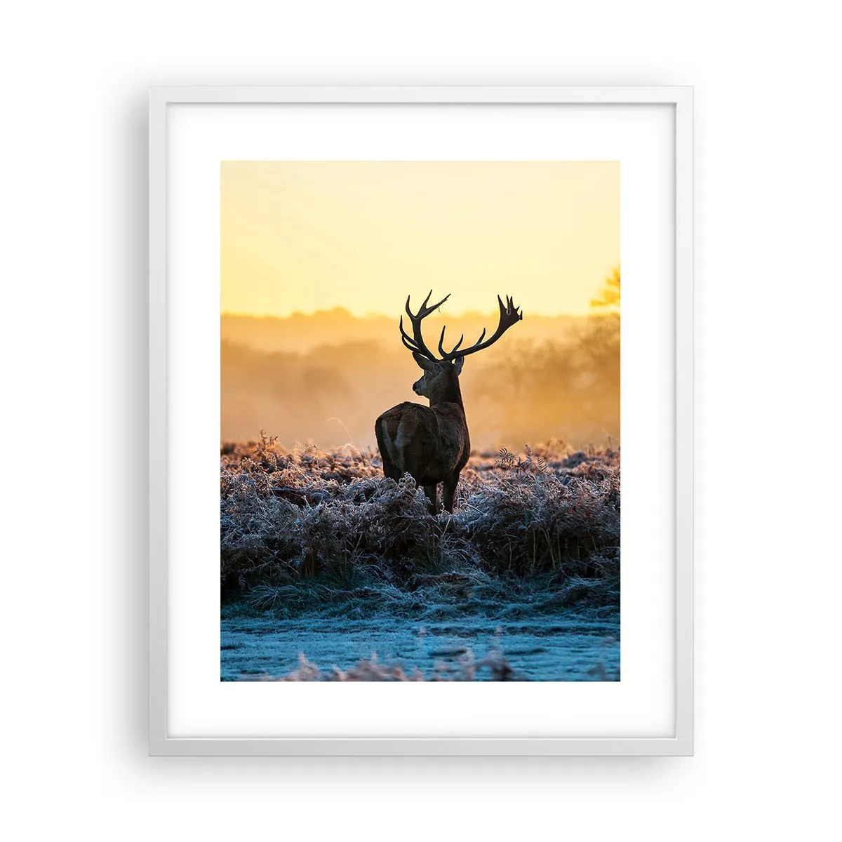 Affiche dans un cadre blanc - Poster - Couronné pour sa succession - 40x50 cm