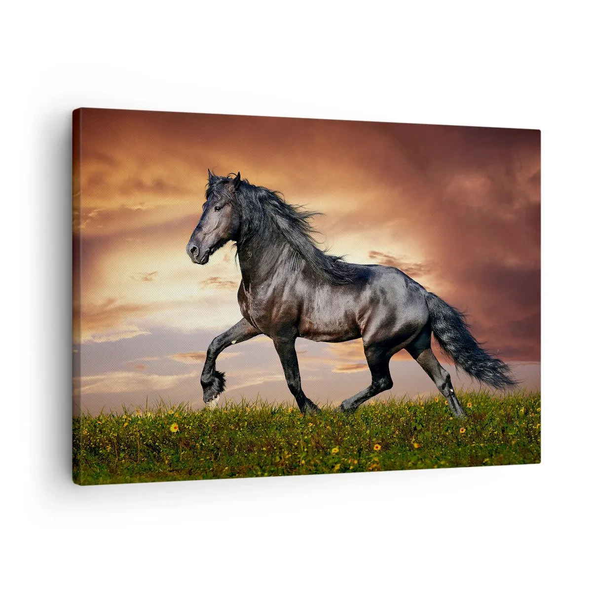 Impression sur toile - Image sur toile - Un cheval noir galopant contre le soleil couchant - 70x50cm - Livres noirs - Décoration murale moderne pour le salon et la chambre ARTTOR