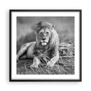 Affiche dans un cadre noir - Poster - Sieste royale - 50x50 cm