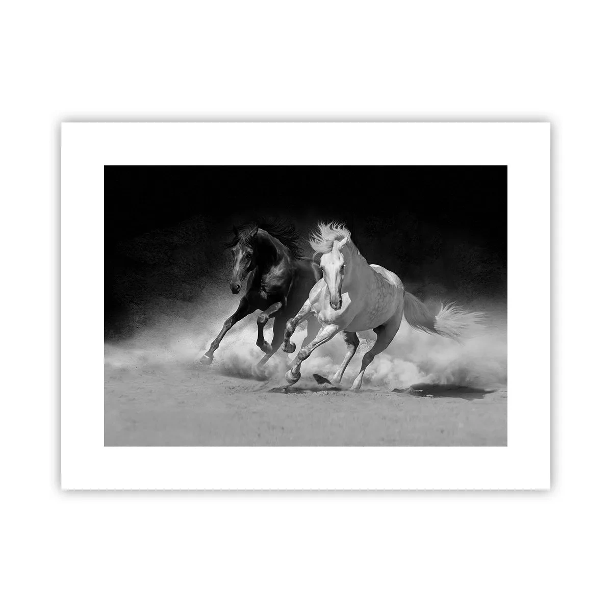 Affiche - Poster - Galop de la liberté - 40x30 cm