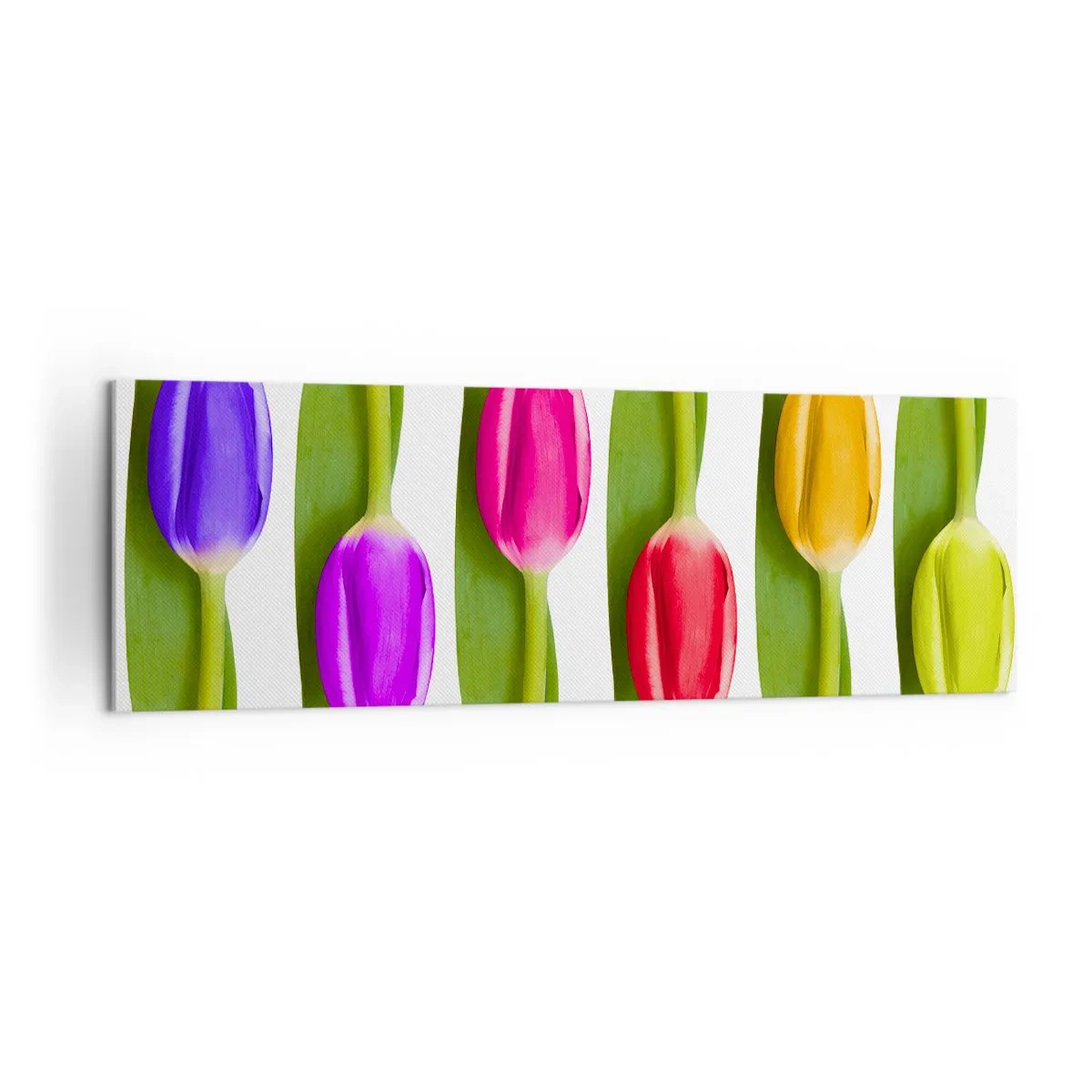 Impression sur toile - Image sur toile - Tulipes multicolores disposées en rangée sur fond blanc - 160x50cm - Composition arc-en-ciel - Décoration murale moderne pour le salon et la chambre ARTTOR