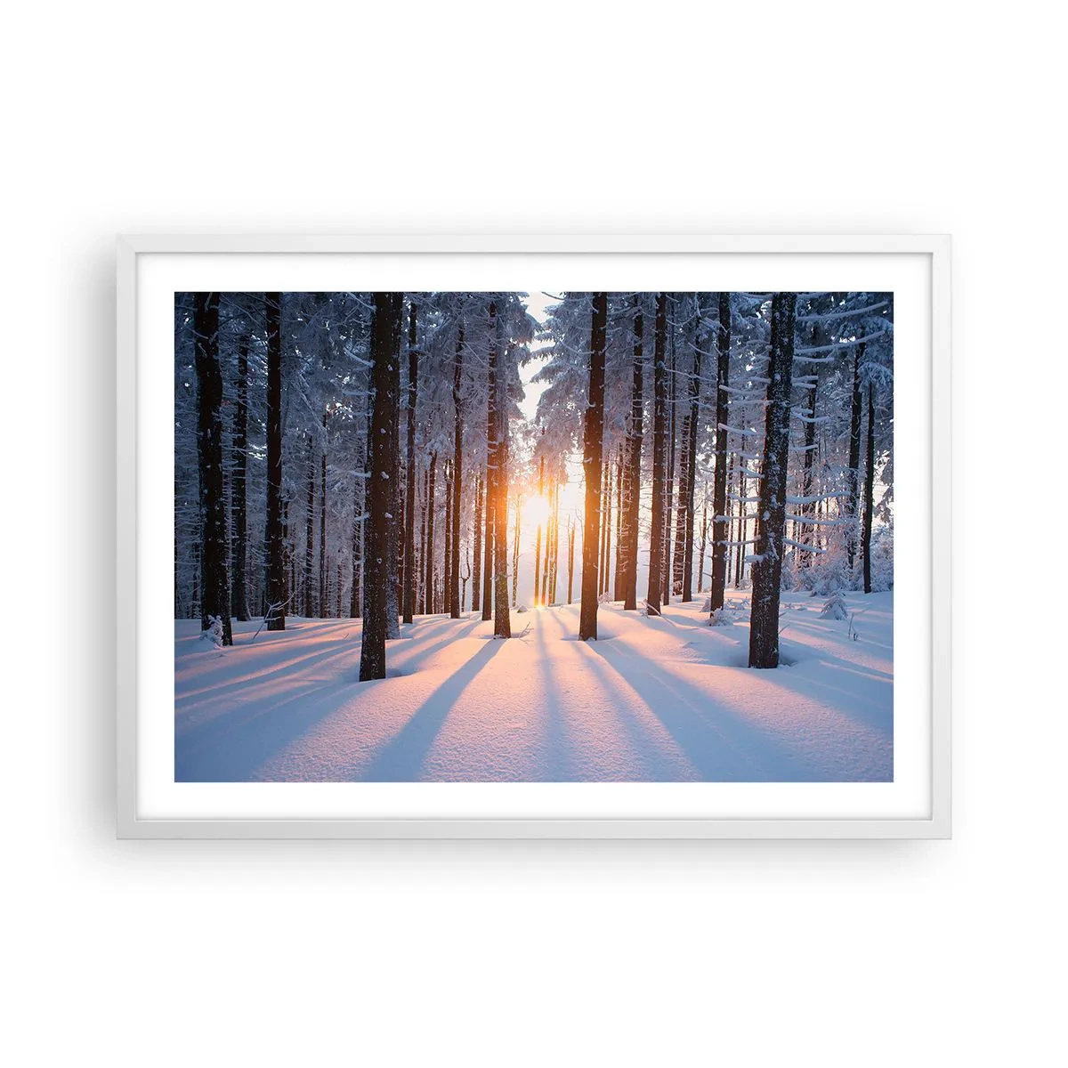 Affiche dans un cadre blanc - Poster - Clairement en noir et blanc - 70x50 cm