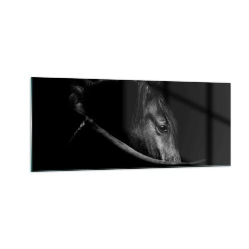 Impression sur verre - Image sur verre - Prince Noir - 100x40 cm
