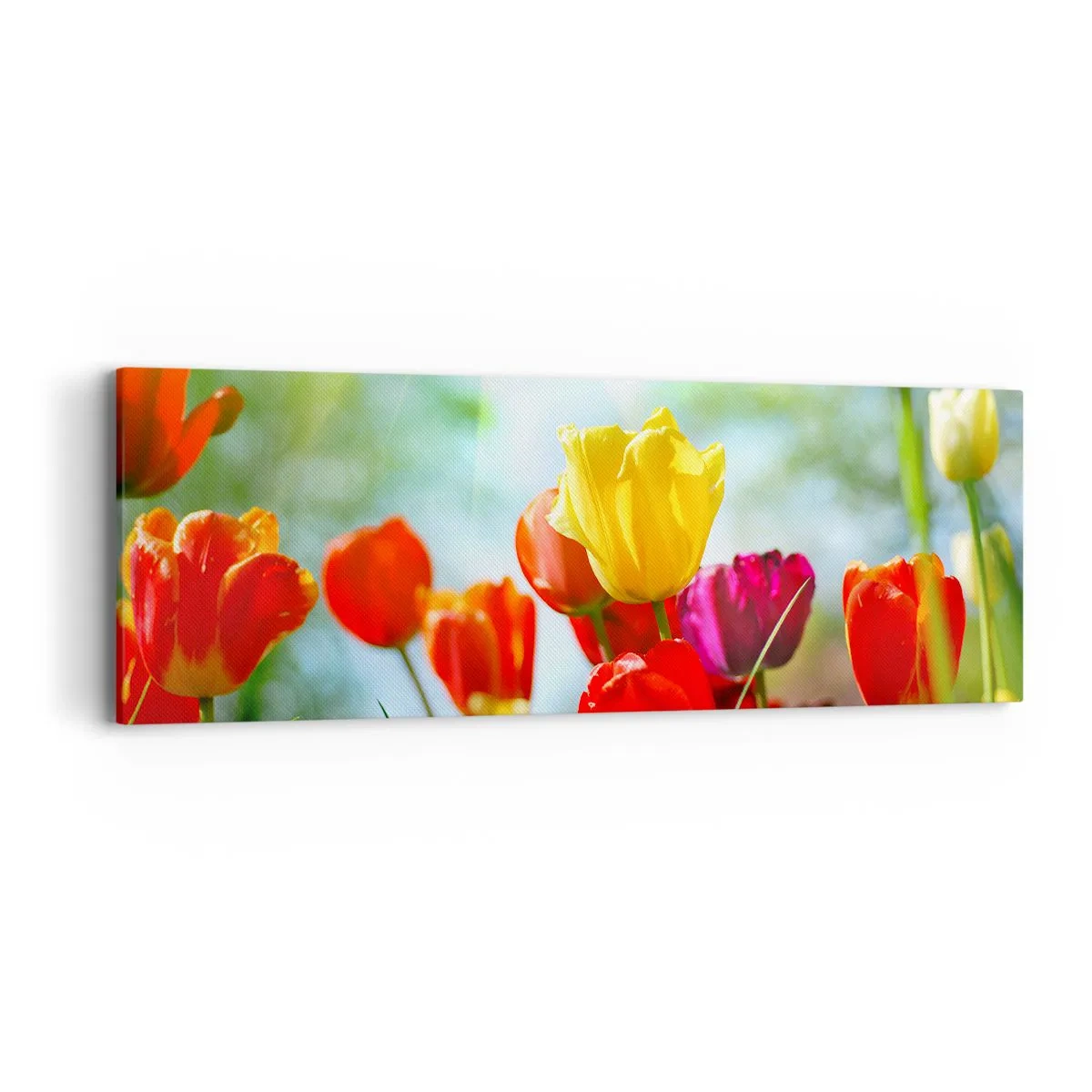 Impression sur toile - Image sur toile - Toutes les couleurs du soleil - 90x30 cm