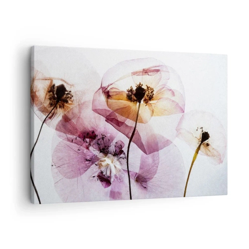 Impression sur toile - Image sur toile - Fleurs délicates et transparentes aux tons pastel - 70x50cm - Corps de fleurs transparente - Décoration murale moderne pour le salon et la chambre ARTTOR