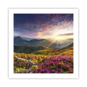 Affiche - Poster - Fraîcheur matinale en montagne - 50x50 cm