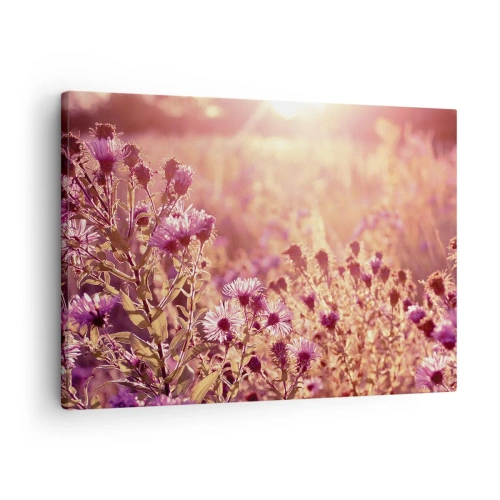 Impression sur toile - Image sur toile - Prairie à la lumière du soleil couchant - 70x50cm - Avant que l'été ne parte - Décoration murale moderne pour le salon et la chambre ARTTOR