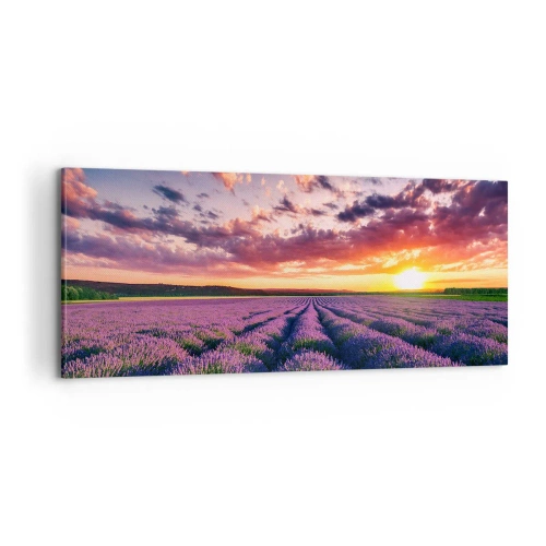 Impression sur toile - Image sur toile - Monde de lavande - 100x40 cm