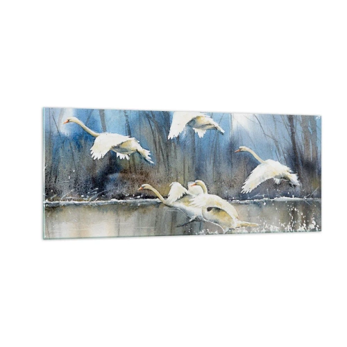 Impression sur verre - Image sur verre - Comme dans un conte de fées sur les cygnes sauvages - 100x40 cm