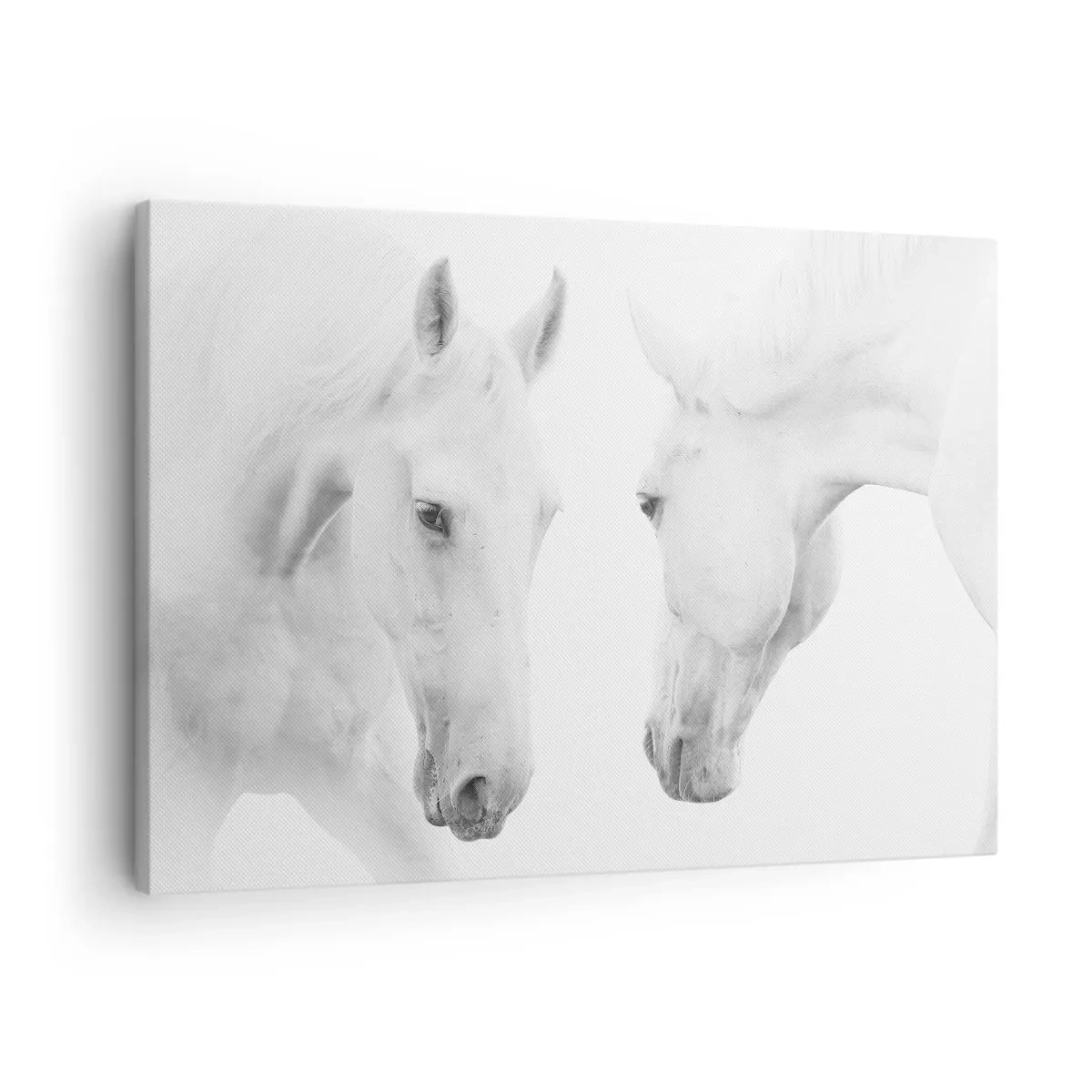 Impression sur toile - Image sur toile - Serait-ce de l’amitié? - 70x50 cm