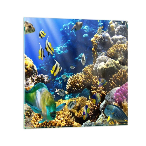 Impression sur verre - Image sur verre - Beaucoup de circulation sur la route des vacances - 50x50 cm