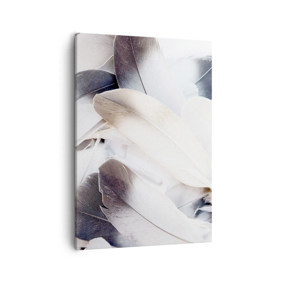 Impression sur toile - Image sur toile - Gros plan de plumes délicates dans des tons de blanc et de gris - 50x70cm - Presque angélique - Décoration murale moderne pour le salon et la chambre ARTTOR