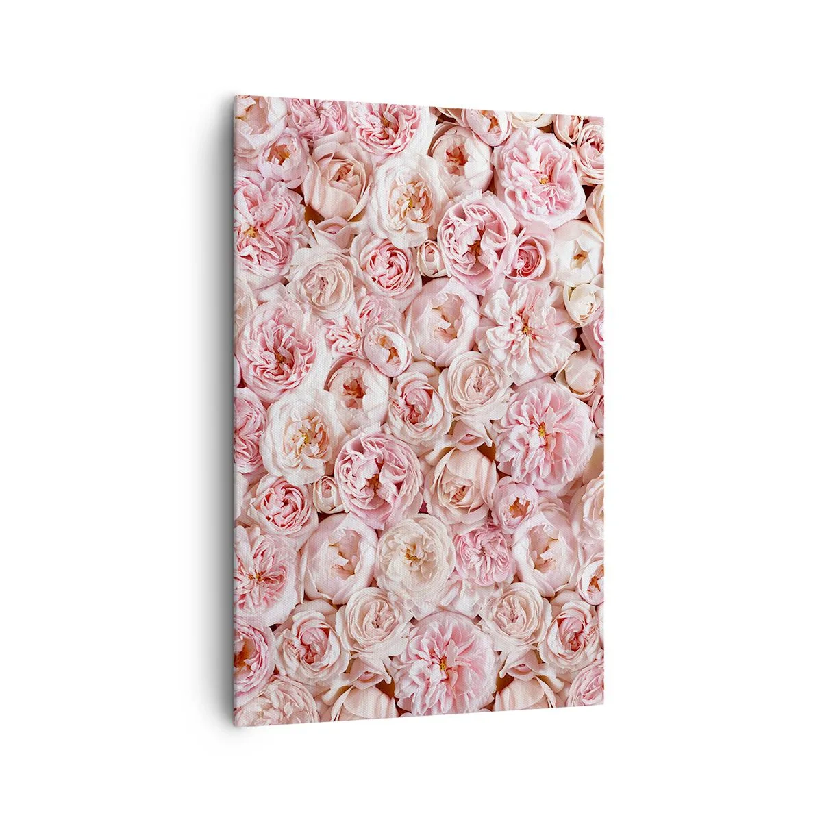 Impression sur toile - Image sur toile - Des roses délicates dans des tons de rose sur toute la surface - 80x120cm - Un lit de roses - Décoration murale moderne pour le salon et la chambre ARTTOR