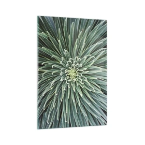 Impression sur verre - Image sur verre - Disposition symétrique de feuilles vertes ressemblant à une étoile - 70x100cm - Naissance d'une étoile - Décoration murale moderne pour le salon et la chambre ARTTOR