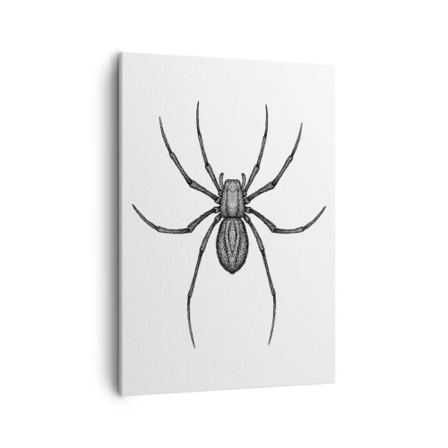 Impression sur toile - Image sur toile - Détail d'une araignée sur fond blanc dans un style dessin animé - 50x70cm - Une précision troublante - Décoration murale moderne pour le salon et la chambre ARTTOR
