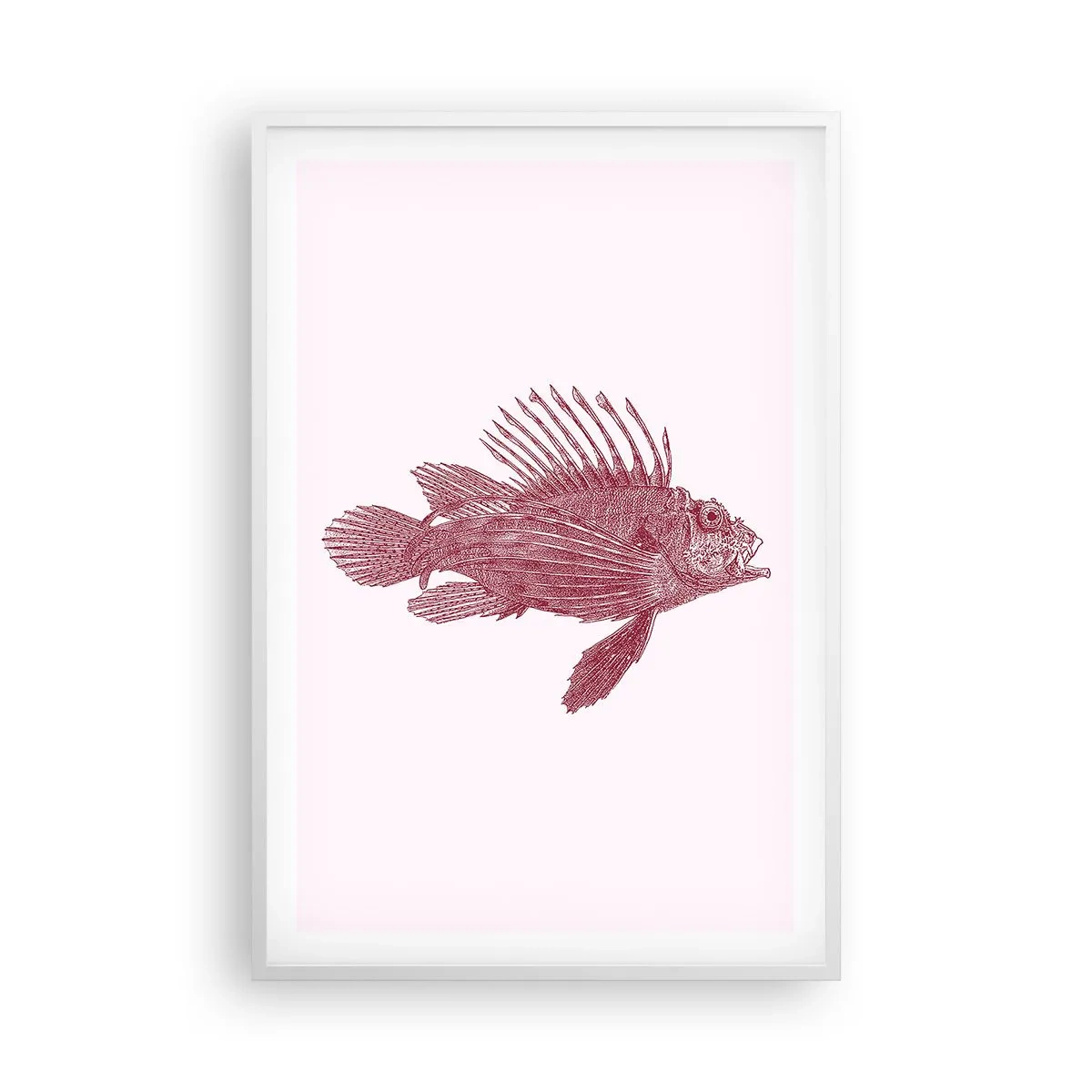 Affiche dans un cadre blanc - Poster - Un habitant des eaux exotiques - 61x91 cm