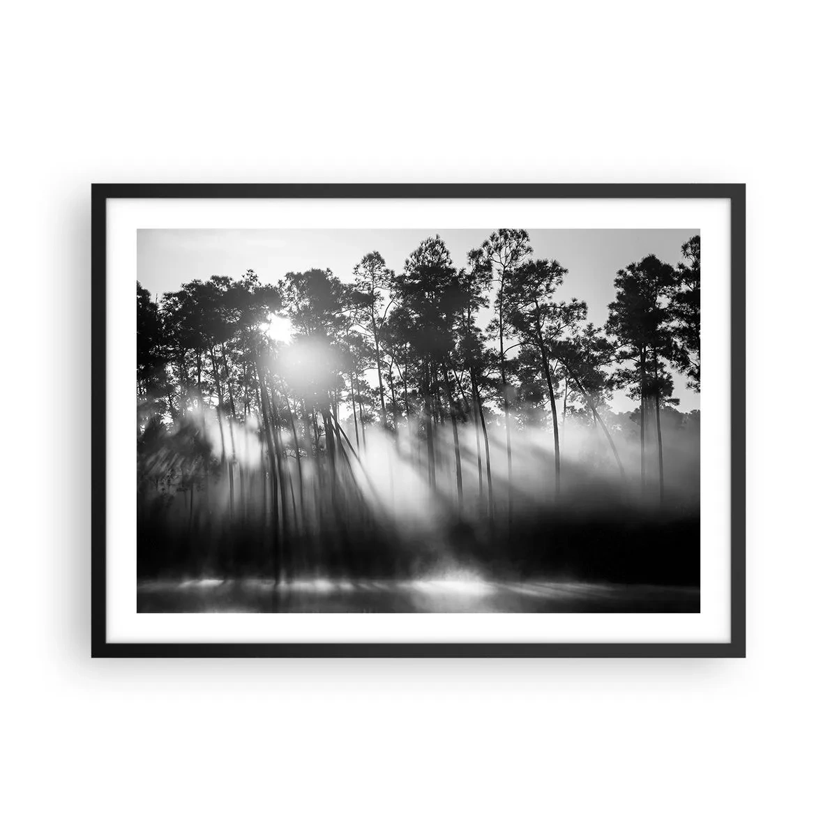 Affiche dans un cadre noir - Poster - Forêt noire et blanche dans le brouillard du matin - 70x50cm - Soleil inarrêtable - Décoration murale moderne pour le salon et la chambre ARTTOR