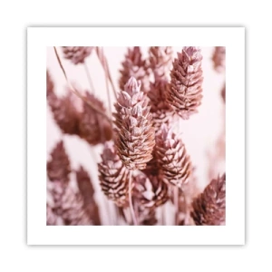 Affiche - Poster - Apparemment discret - 40x40 cm