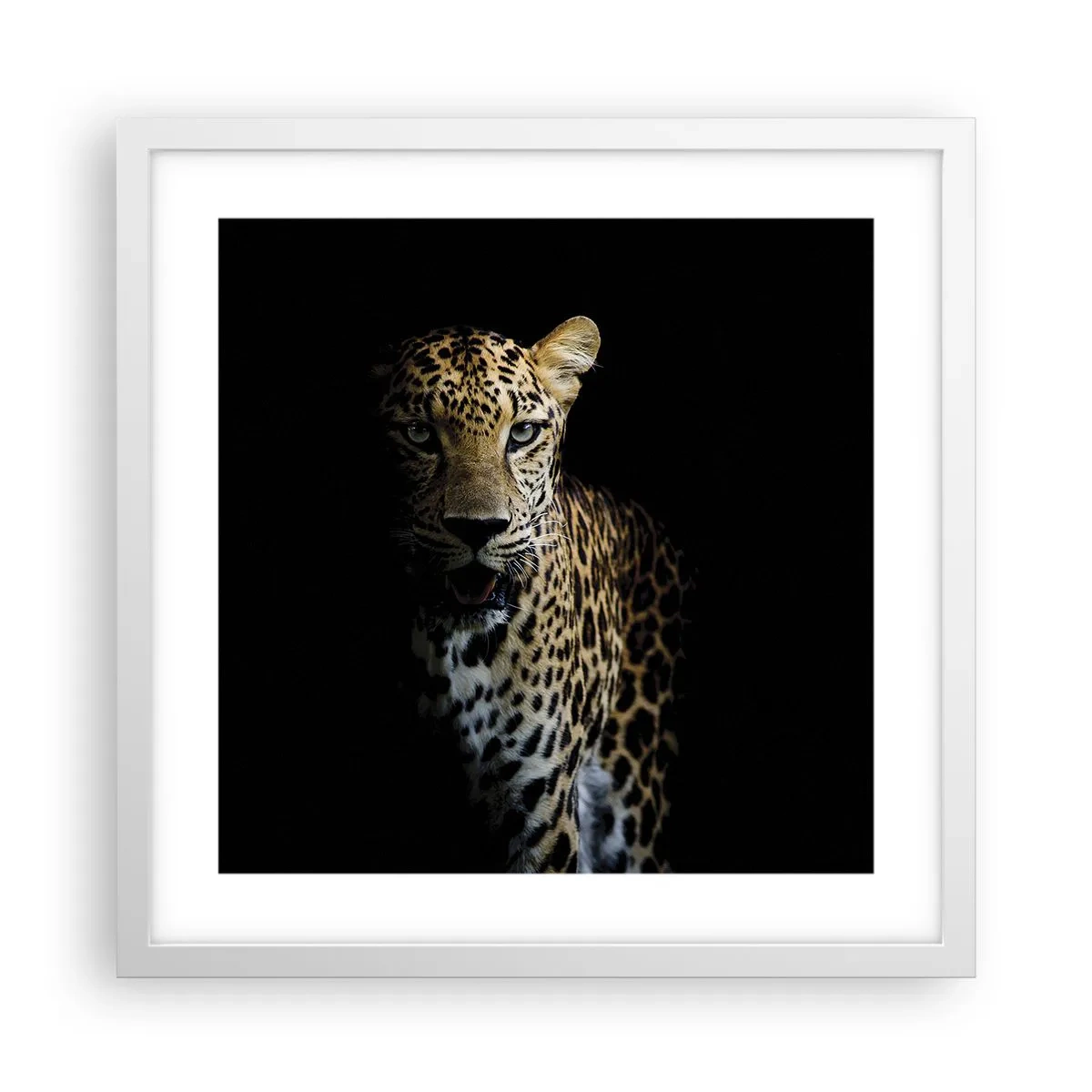 Affiche dans un cadre blanc - Poster - Beauté sombre - 40x40 cm