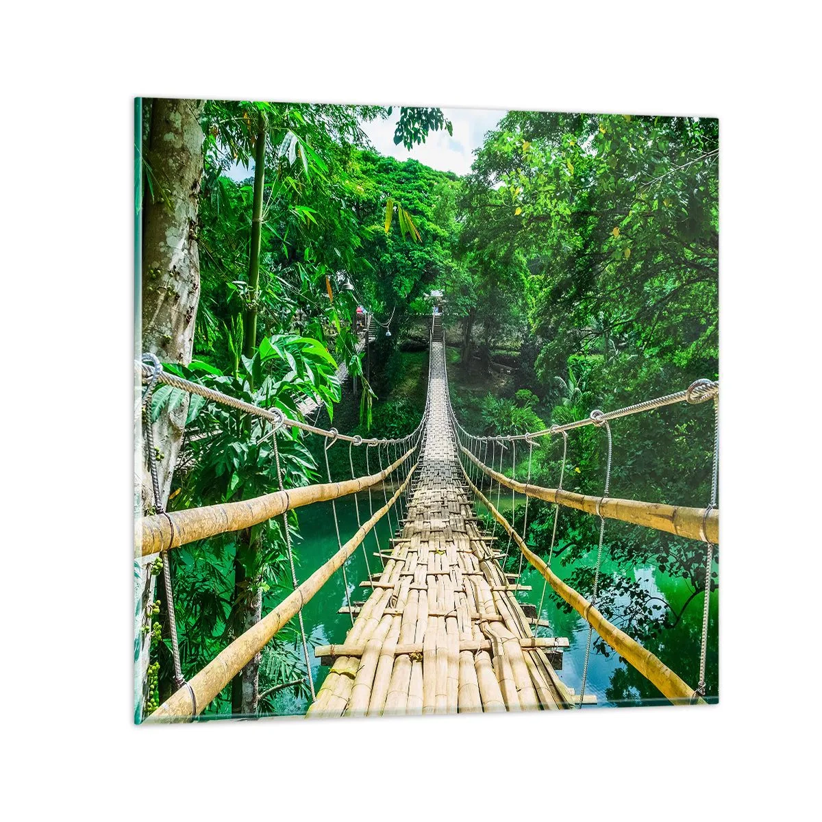 Impression sur verre - Image sur verre - Pont de singe en pleine nature - 50x50 cm