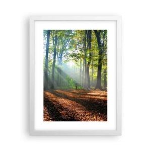 Affiche dans un cadre blanc - Poster - Ombres et lumières - 30x40 cm