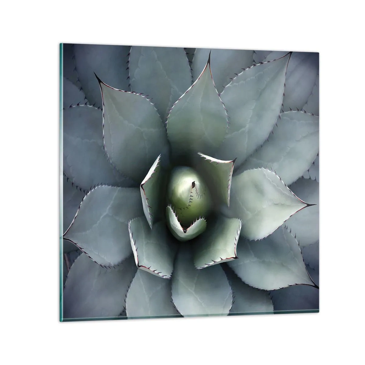 Impression sur verre - Image sur verre - Wabi et observe - 40x40 cm