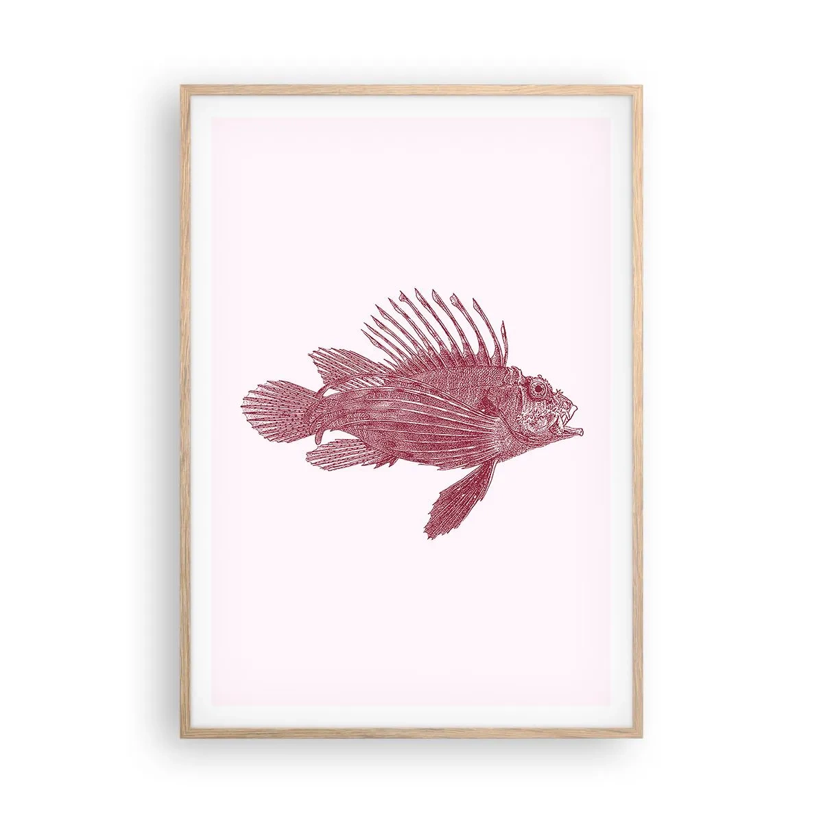 Affiche dans un chêne clair - Poster - Un habitant des eaux exotiques - 70x100 cm