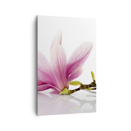 Impression sur toile - Image sur toile - Magnolias roses délicats sur fond blanc - 80x120cm - Délicat comme une brise de printemps - Décoration murale moderne pour le salon et la chambre ARTTOR
