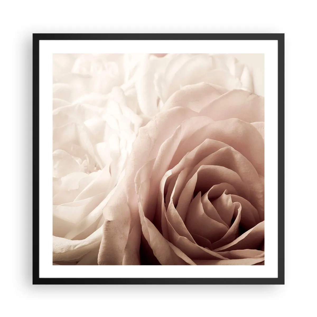 Affiche dans un cadre noir - Poster - Au coeur d'ue la rose - 60x60 cm