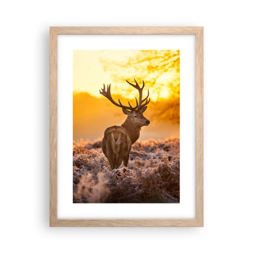 Affiche dans un chêne clair - Poster - Roi de la forêt automnal - 30x40 cm