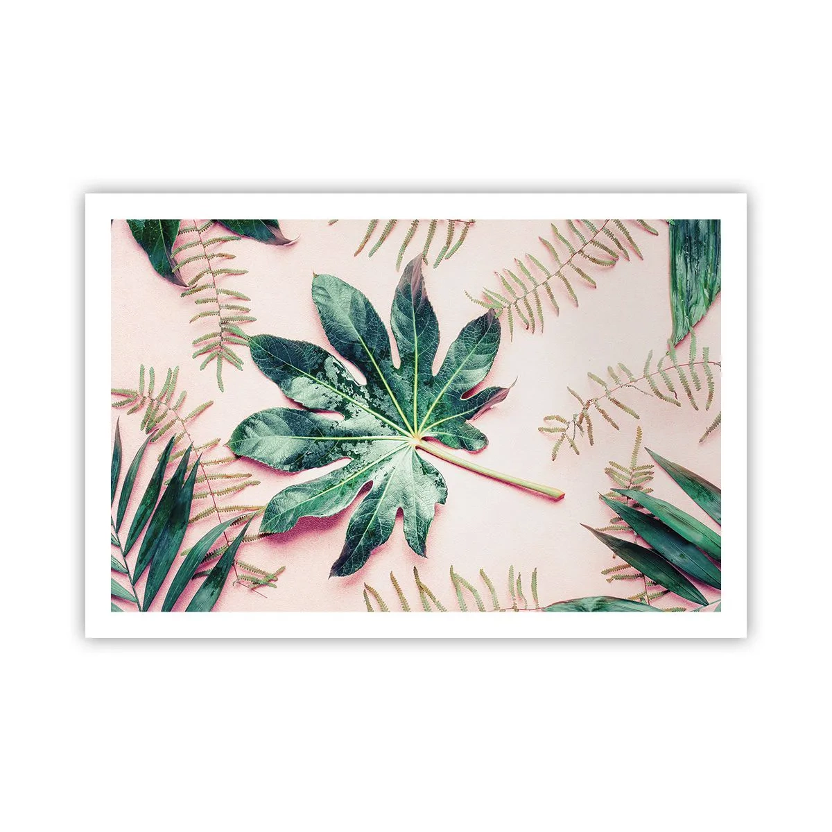 Affiche - Poster - Étude de verdure sur fond rose - 91x61 cm