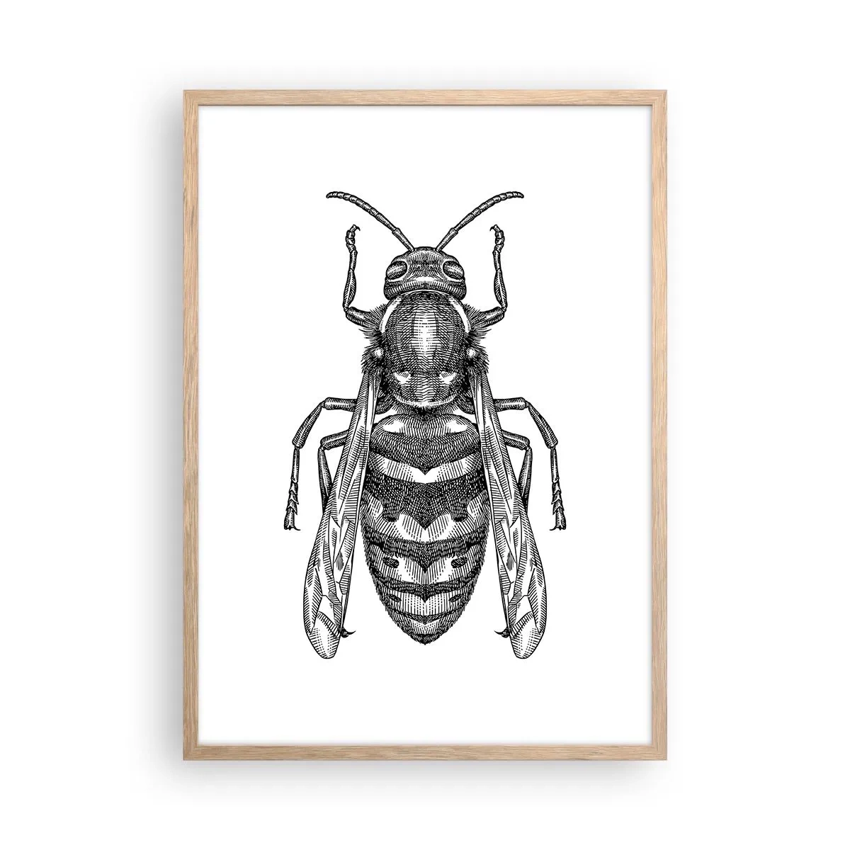Affiche dans un chêne clair - Poster - D'une planète d'insectes - 50x70 cm