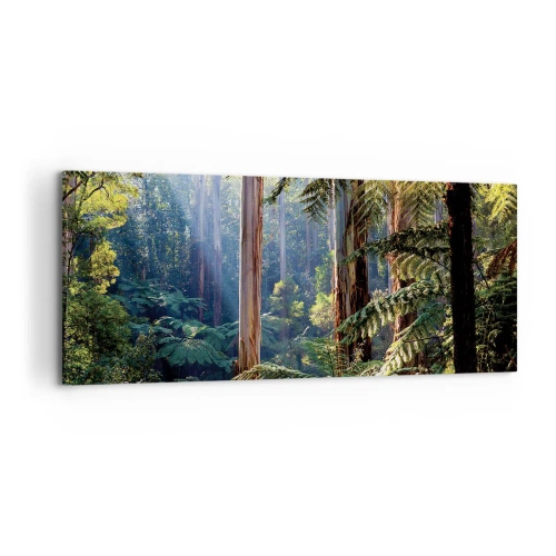 Impression sur toile - Image sur toile - Forêt tropicale illuminée par les rayons du soleil - 120x50cm - Fable de la forêt - Décoration murale moderne pour le salon et la chambre ARTTOR