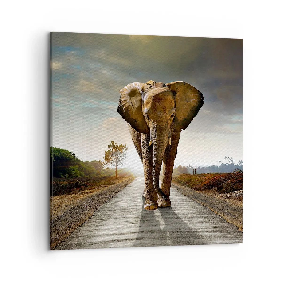 Impression sur toile - Image sur toile - Et pas du tout en porcelaine - 50x50 cm