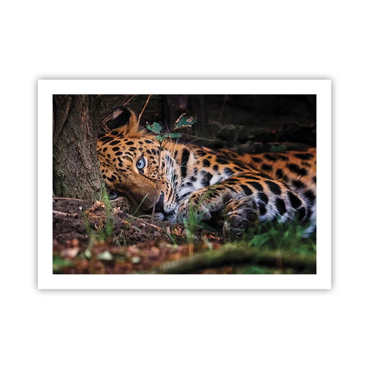 Affiche - Poster - Fais-moi confiance - 70x50 cm